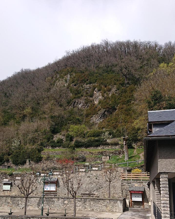 Appartement Dans Ancienne Maison Pyreneenne. Cadéac Dış mekan fotoğraf