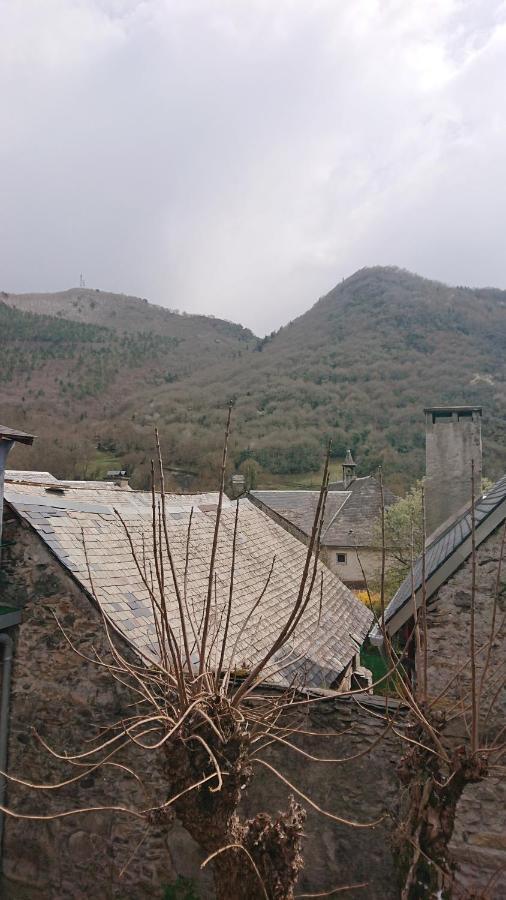 Appartement Dans Ancienne Maison Pyreneenne. Cadéac Dış mekan fotoğraf